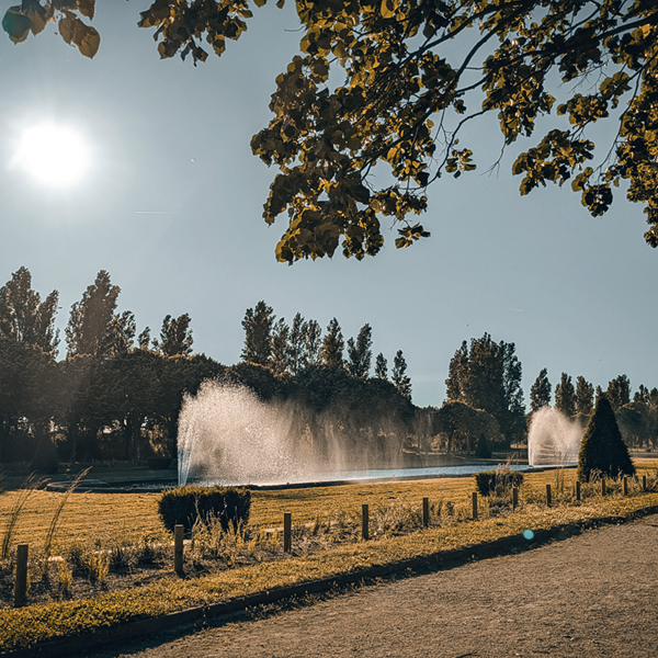 Capture d'écran 2025-12-16 131926